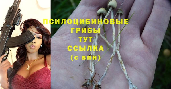 прущая мука Белоозёрский