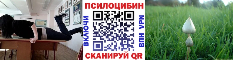 Псилоцибиновые грибы прущие грибы  Гудермес 