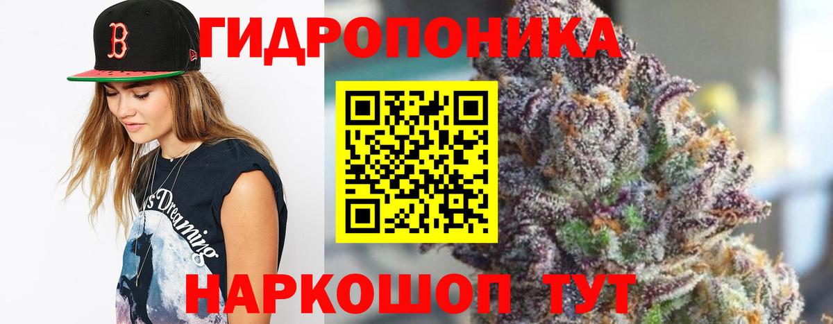 Конопля план Гудермес