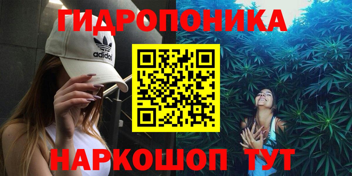 Бошки марихуана тримм  Вход с VPN  Шишки марихуана MAZAR  Гудермес  Шишки марихуана индика 